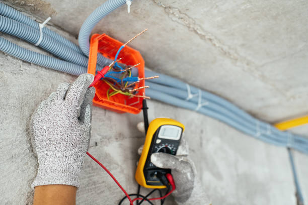Best Electric Panel Repair  in North Shore, VA